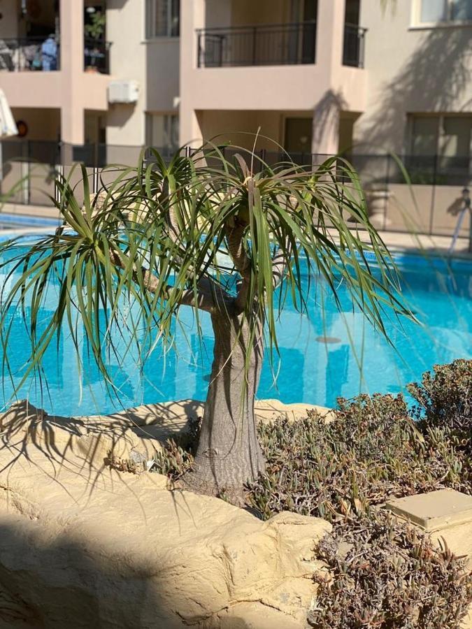 Royal Seacrest F G5 Ground Floor Apartment Pafos Zewnętrze zdjęcie