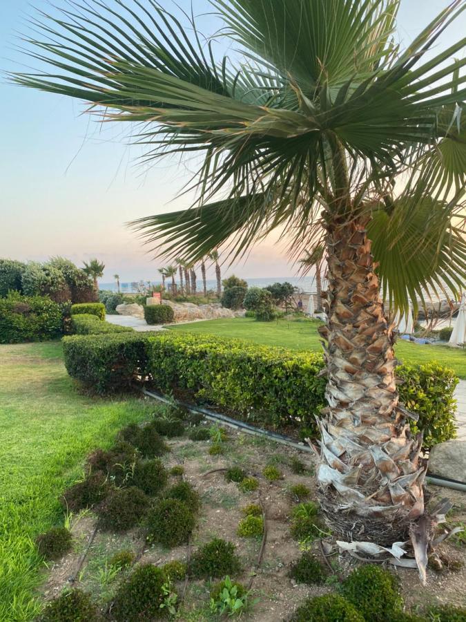Royal Seacrest F G5 Ground Floor Apartment Pafos Zewnętrze zdjęcie