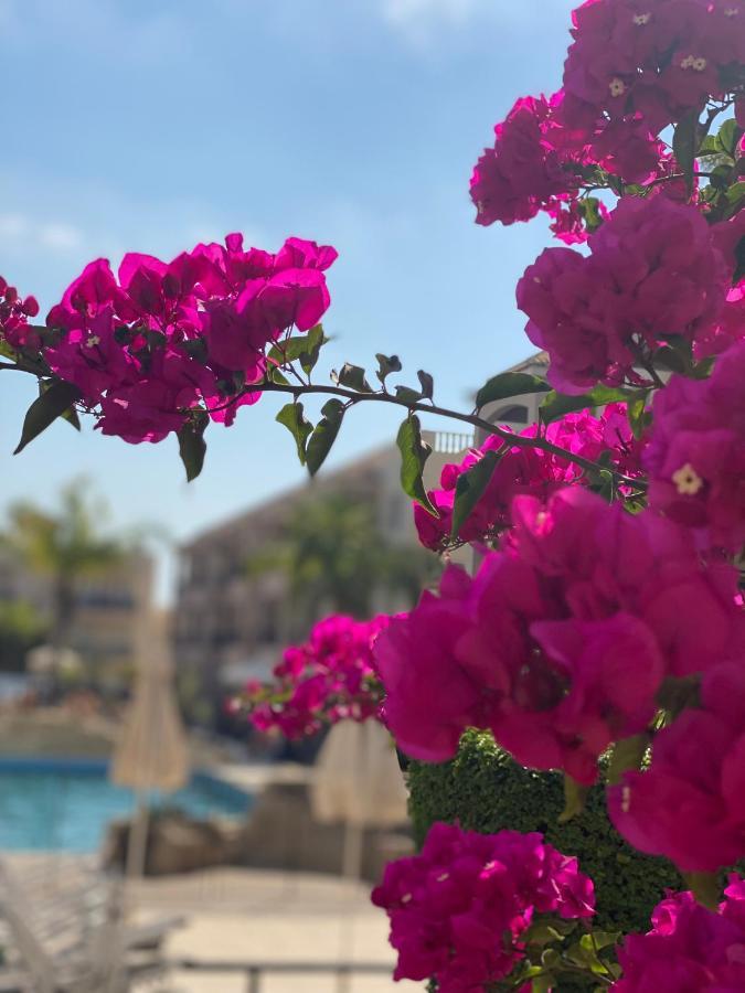 Royal Seacrest F G5 Ground Floor Apartment Pafos Zewnętrze zdjęcie